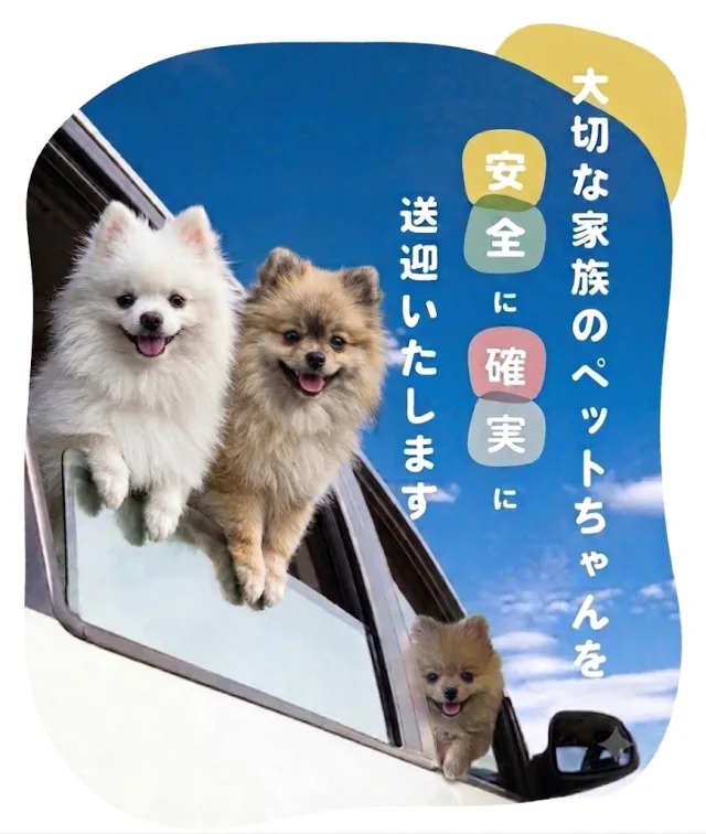 大切な家族のペットちゃんを安全に確実に送迎いたします